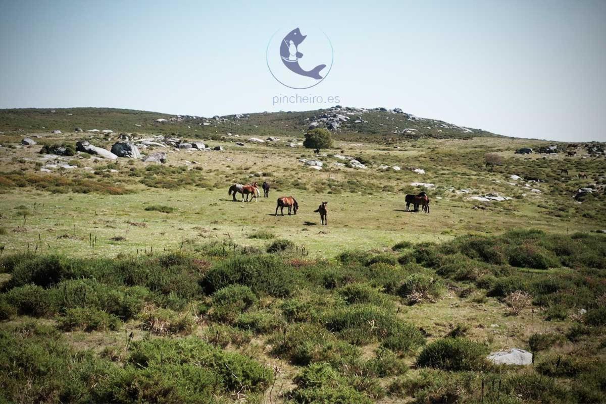 Pincheiro Apartamentos Turisticos Pobra Do Caraminal Εξωτερικό φωτογραφία